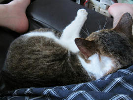 IMG05580.jpg