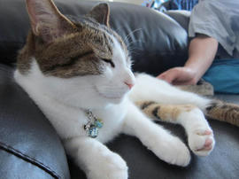 IMG05581.jpg
