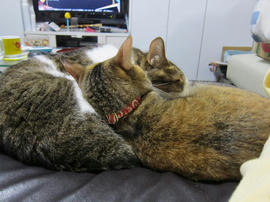 IMG05583.jpg