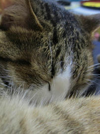 IMG05584.jpg