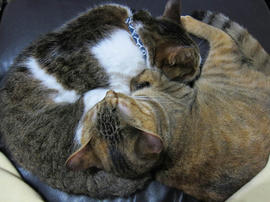 IMG05585.jpg