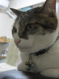 IMG05587.jpg