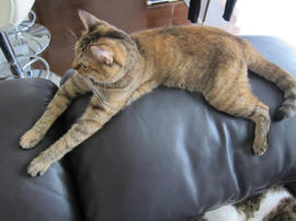 IMG05590.jpg