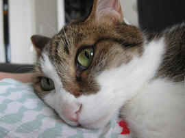 IMG05600.jpg