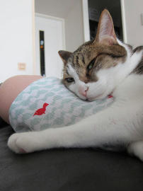 IMG05603.jpg