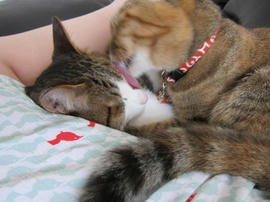 IMG05604.jpg
