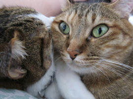IMG05606.jpg