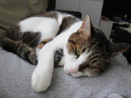 IMG03000.jpg