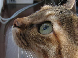 IMG05667.jpg