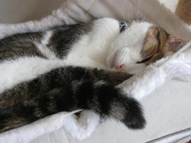 IMG05670.jpg