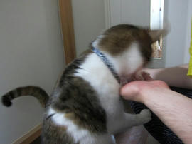 IMG05672.jpg