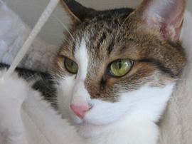 IMG05675.jpg