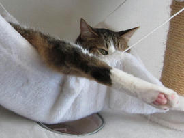IMG05676.jpg