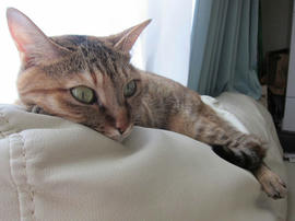 IMG05678.jpg