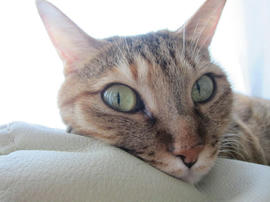 IMG05679.jpg