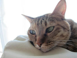 IMG05680.jpg