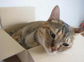 IMG05686.jpg