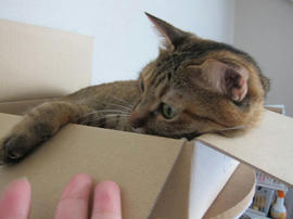 IMG05687.jpg