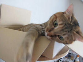 IMG05688.jpg
