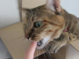 IMG05689.jpg
