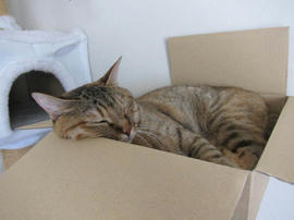 IMG05693.jpg