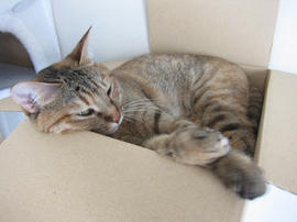 IMG05694.jpg