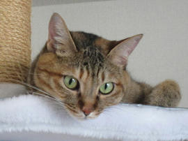 IMG05695.jpg