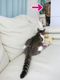 IMG05697.jpg