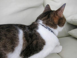 IMG05702.jpg