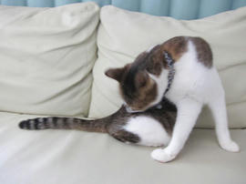 IMG05703.jpg