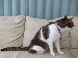 IMG05704.jpg