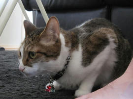 IMG05706.jpg