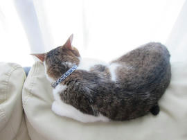 IMG05708.jpg