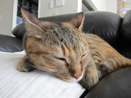 IMG05710.jpg