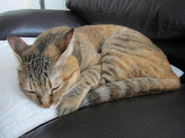 IMG05711.jpg