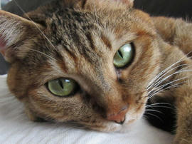 IMG05713.jpg