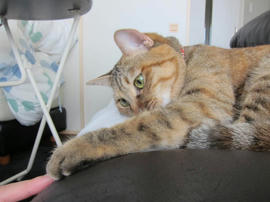 IMG05714.jpg