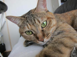 IMG05715.jpg