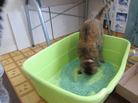 IMG05716.jpg