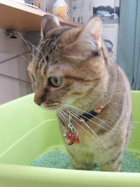 IMG05717.jpg