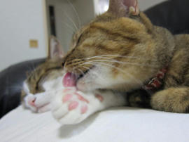 IMG05724.jpg