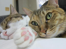 IMG05727.jpg