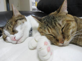 IMG05728.jpg