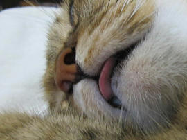 IMG05730.jpg