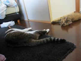 IMG05733.jpg