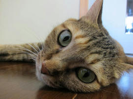 IMG05735.jpg