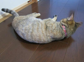 IMG05737.jpg