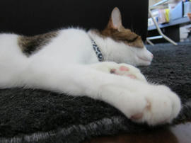 IMG05738.jpg