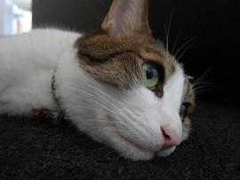 IMG05739.jpg
