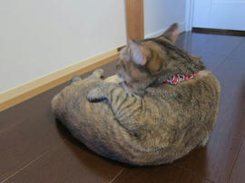 IMG05742.jpg